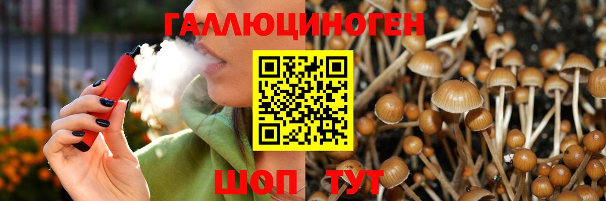 Псилоцибиновые грибы Magic Shrooms Великие Луки